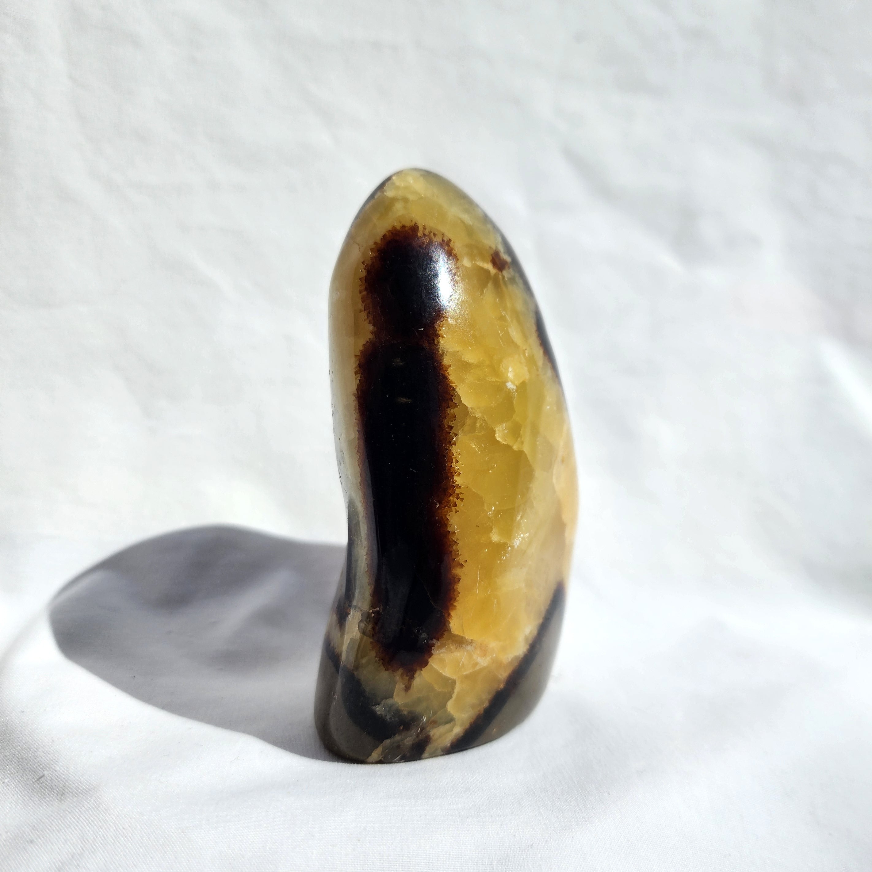 Septarian Freeform