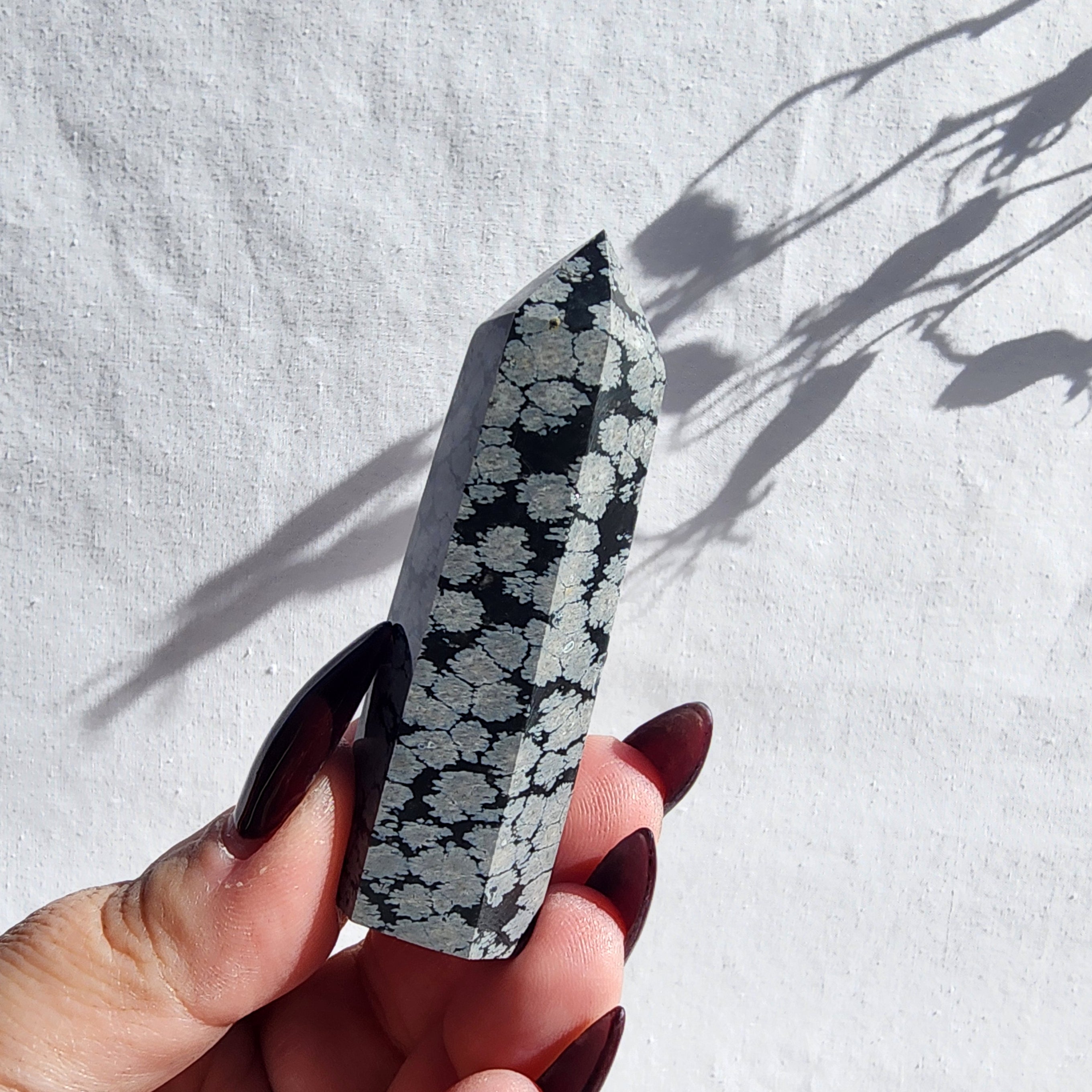Snowflake Obsidian Generator Point