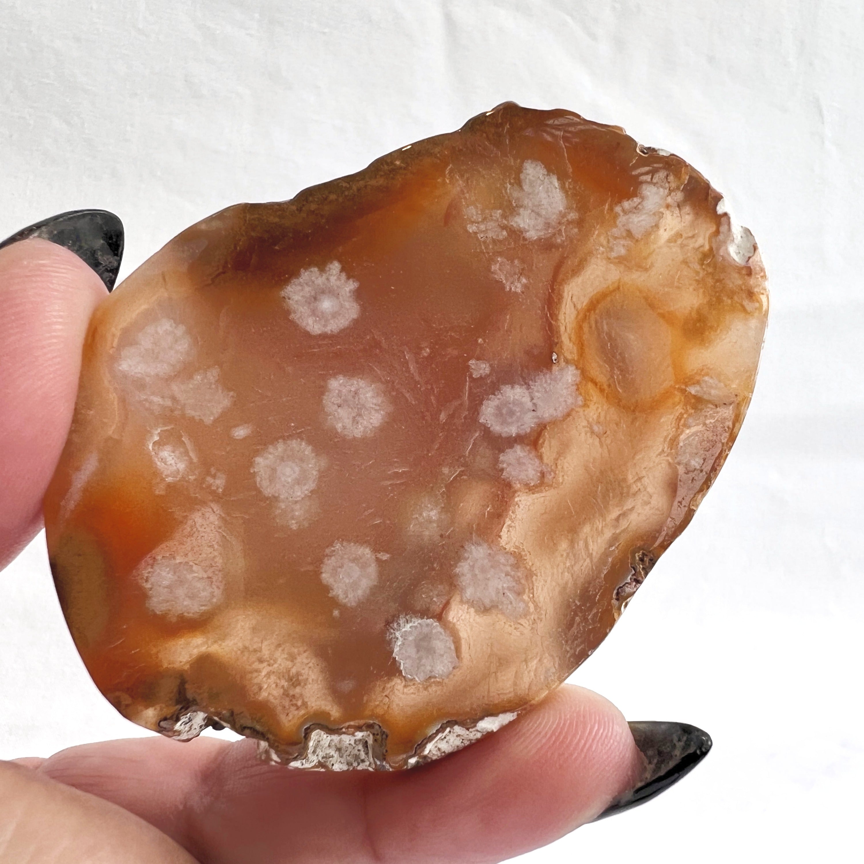 Flower Agate Slice