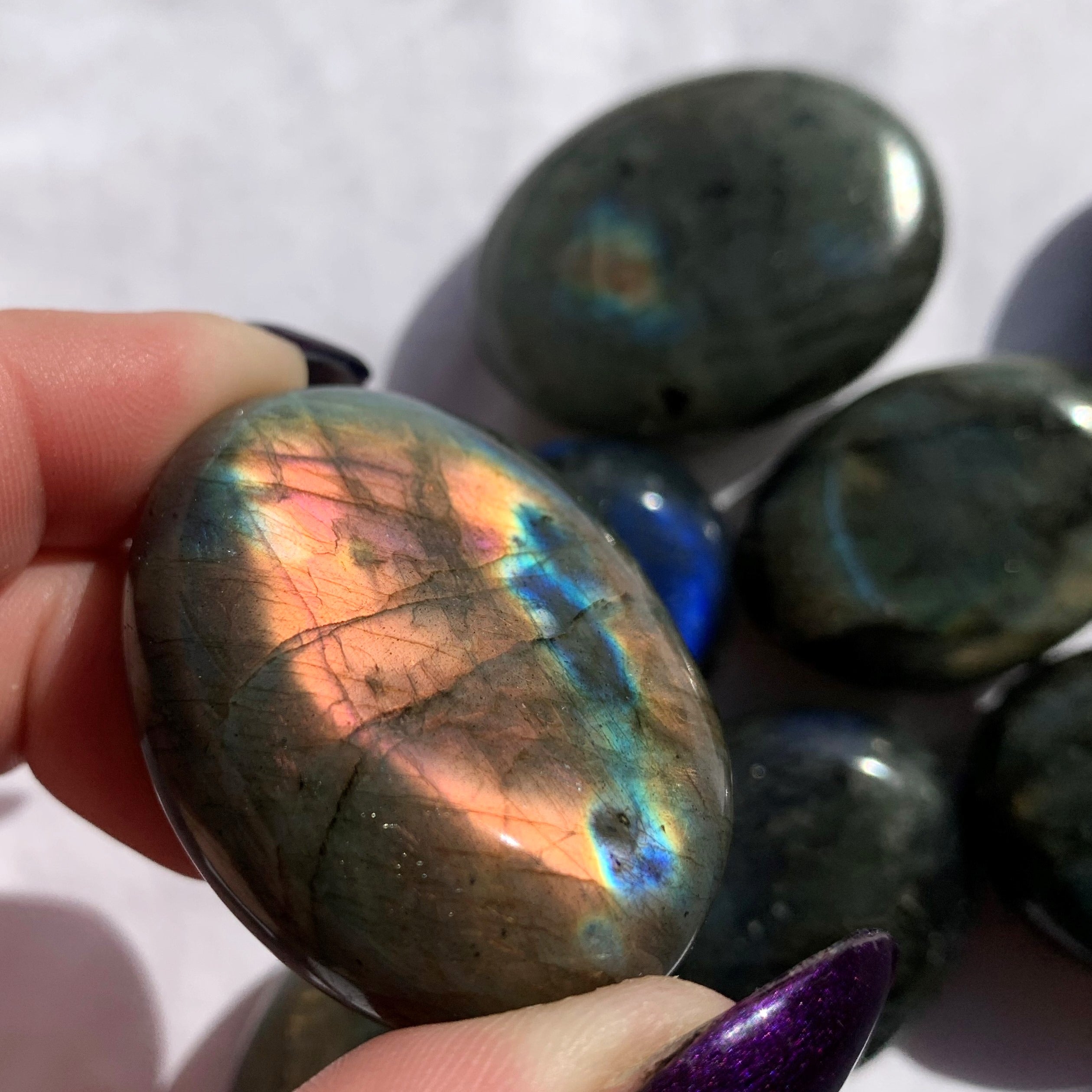 Labradorite Palmstone | Small