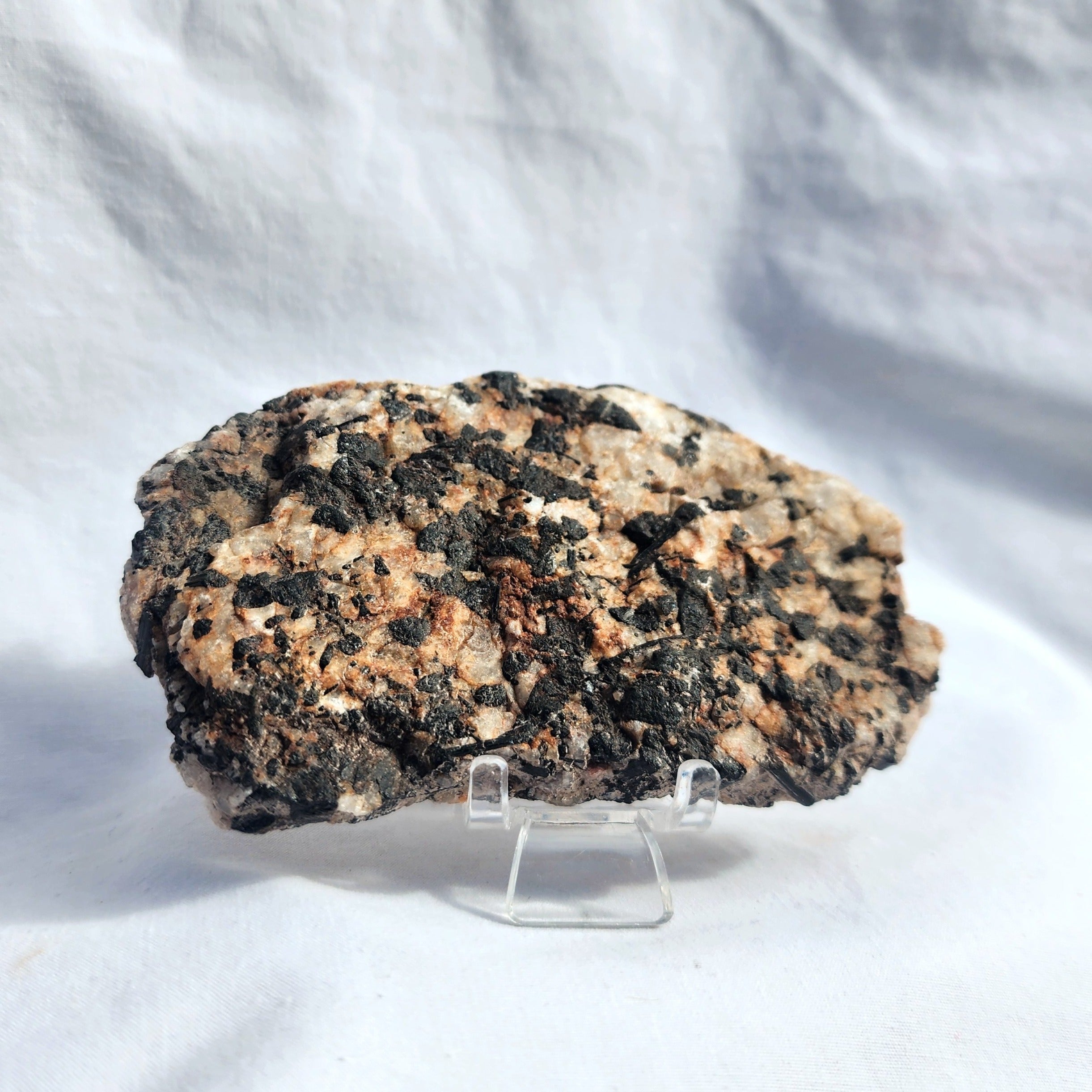 Tourmaline in Quartz Slice
