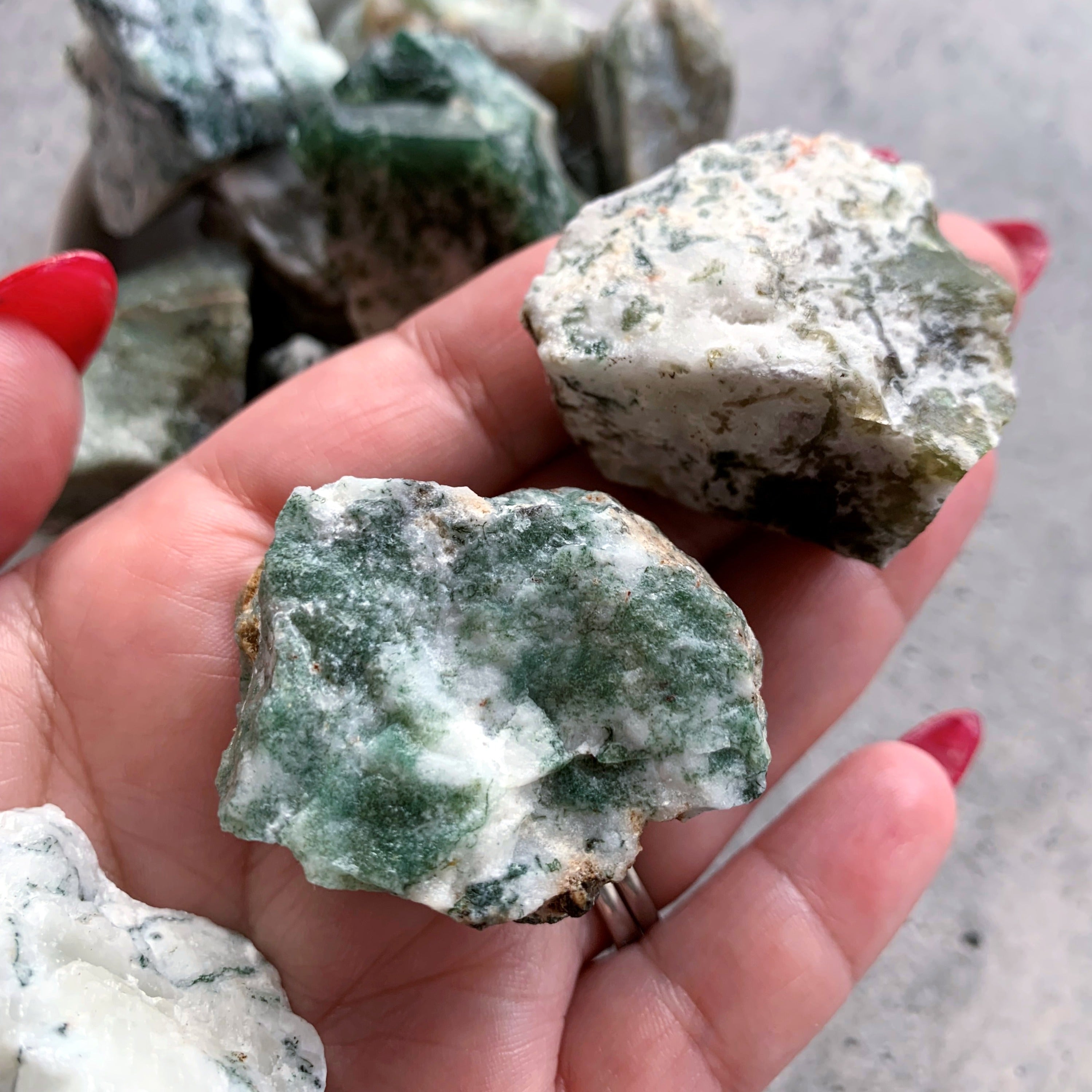 Tree Agate Raw