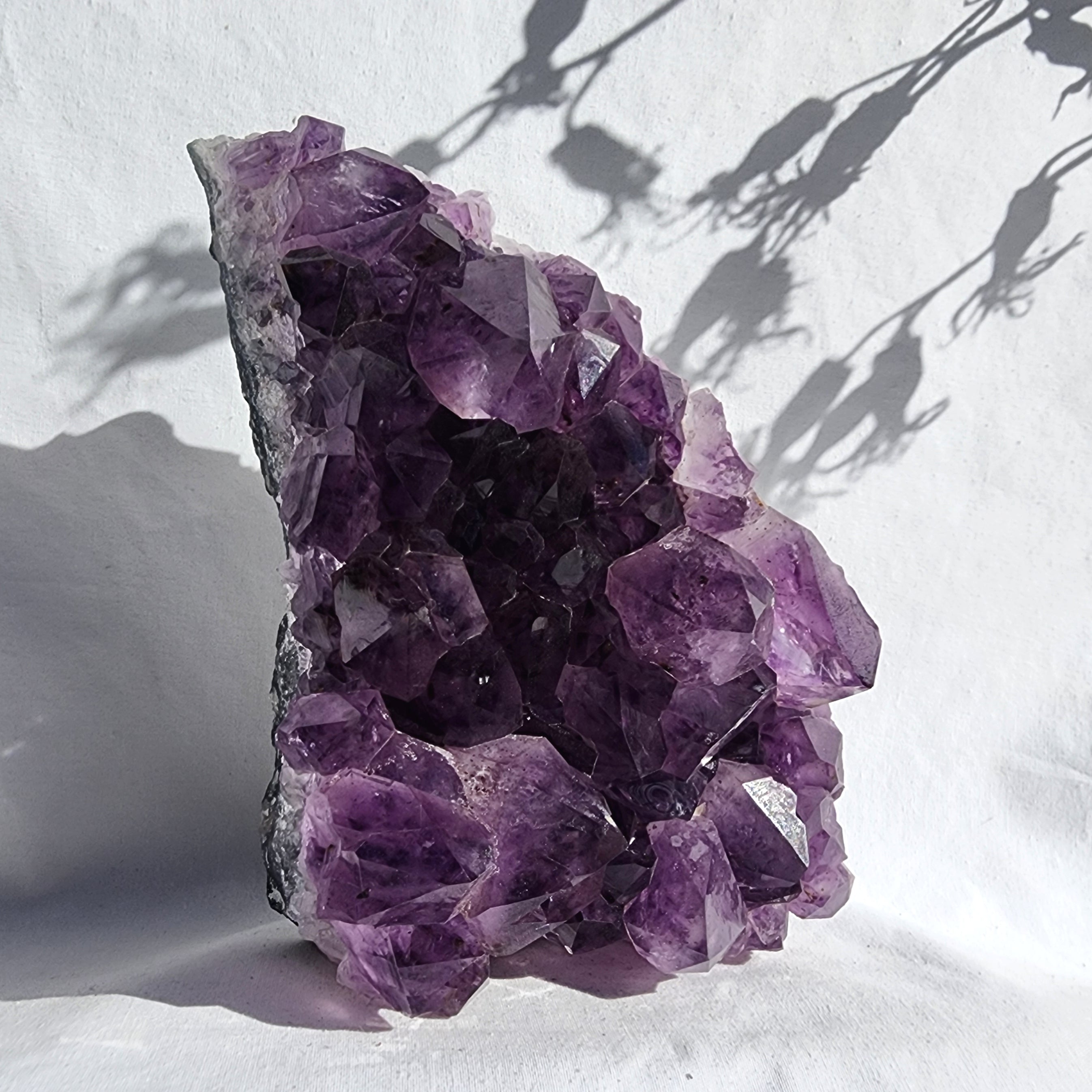Amethyst Cluster