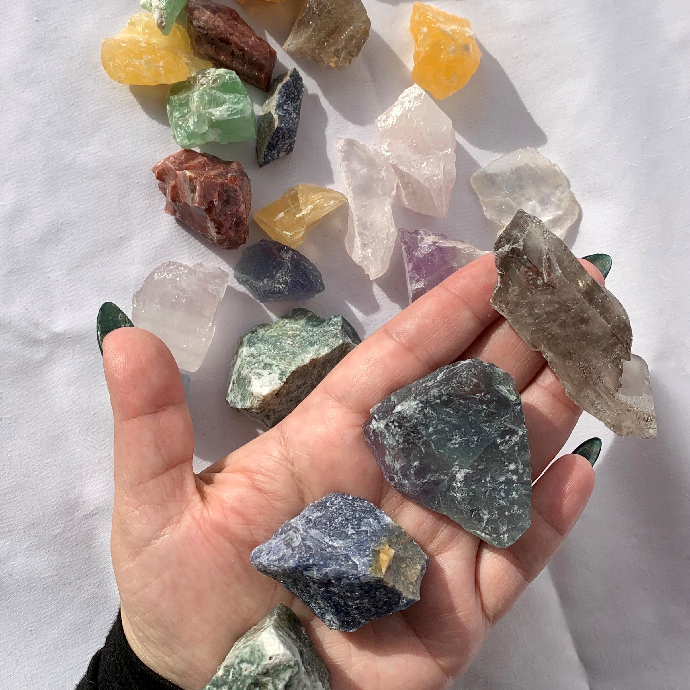 Crystal Lovers Plant Pack