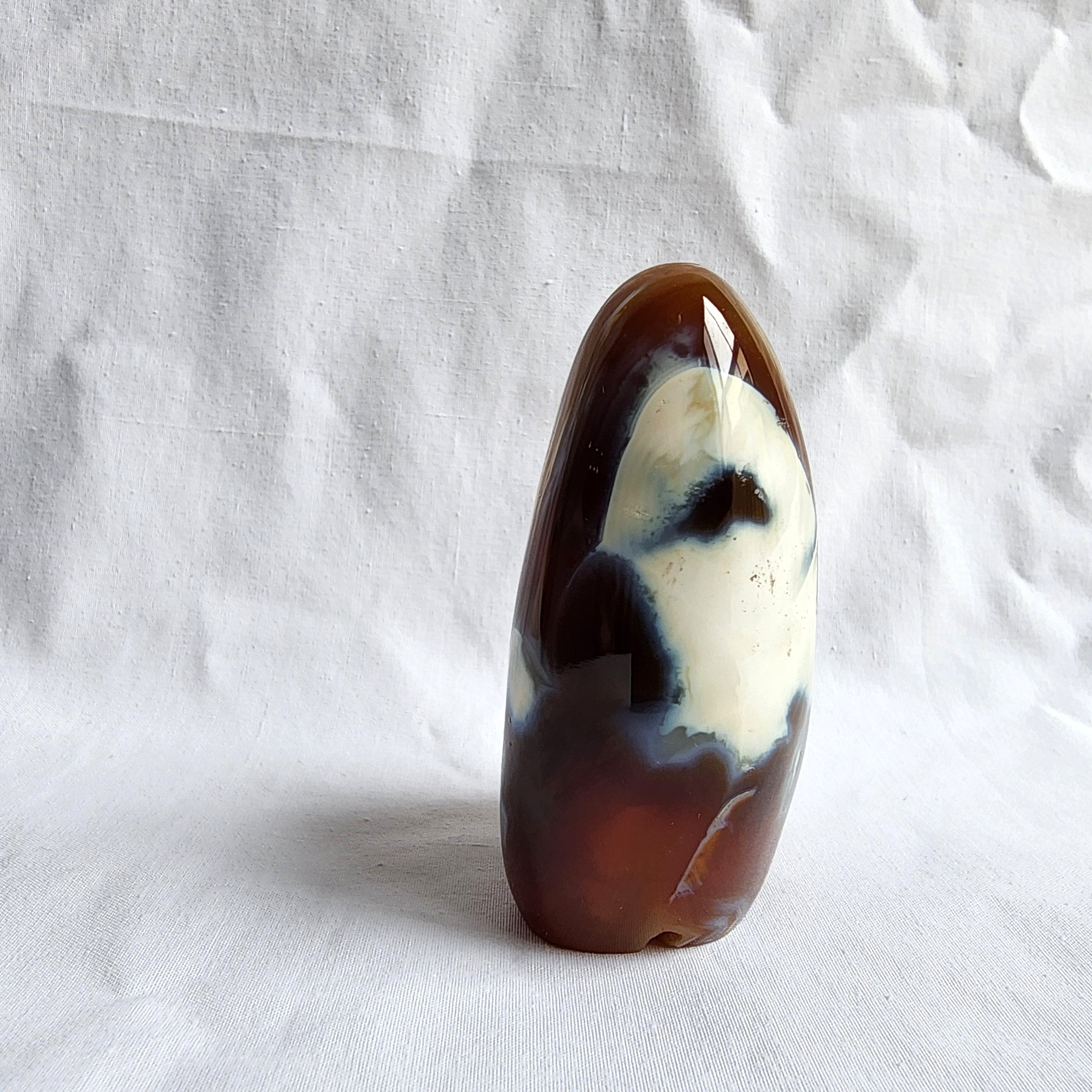 Carnelian & Orca Agate Freeform