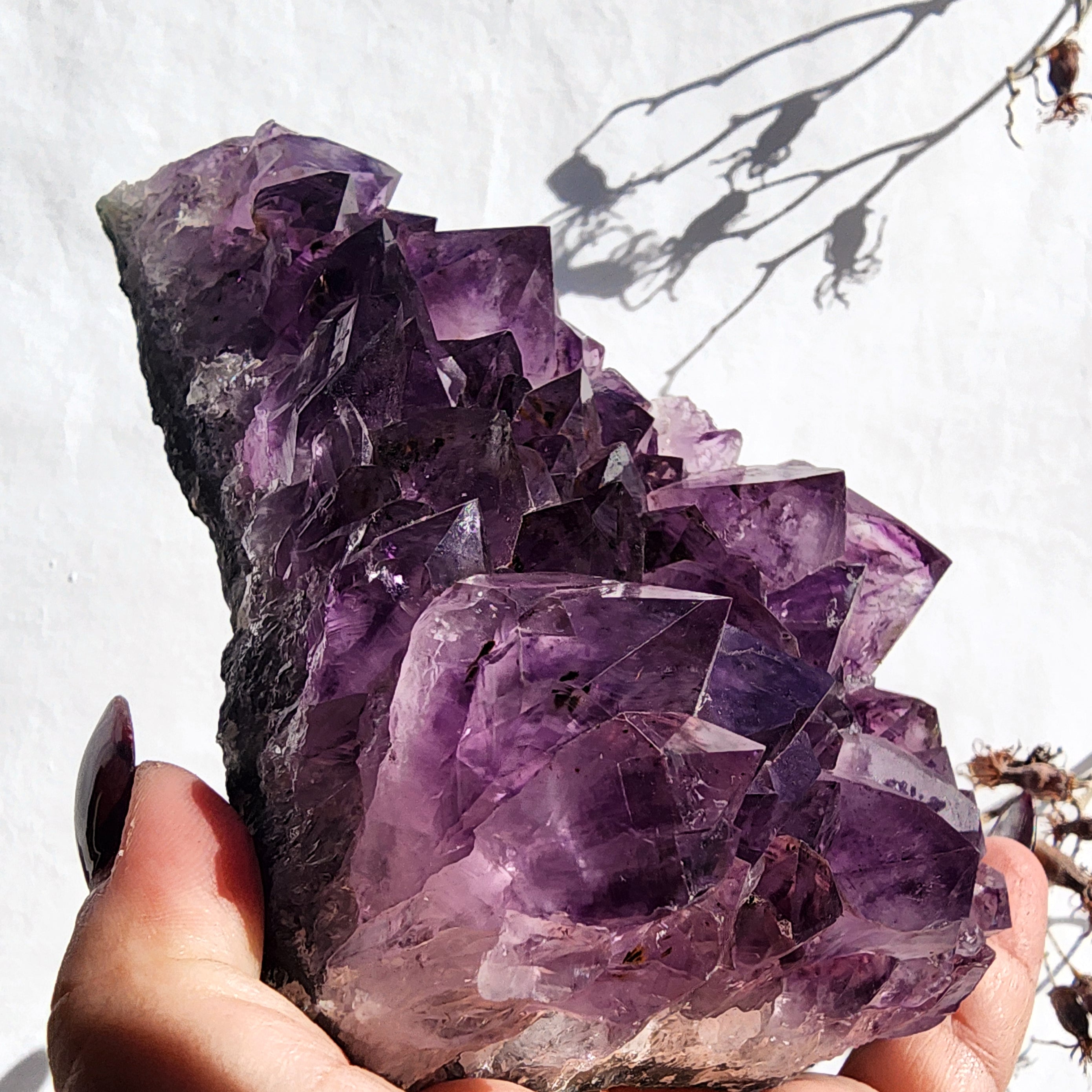 Amethyst Cluster