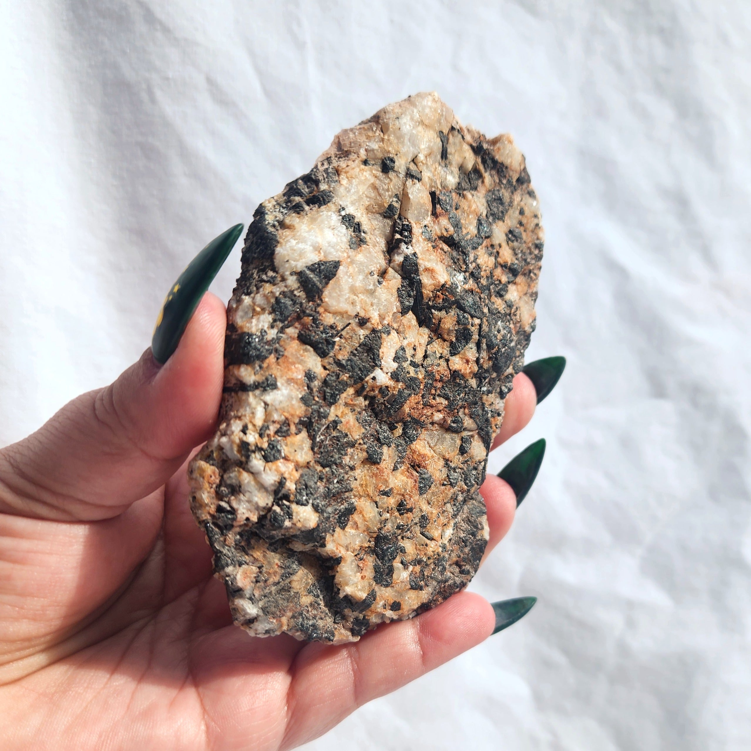 Tourmaline in Quartz Slice