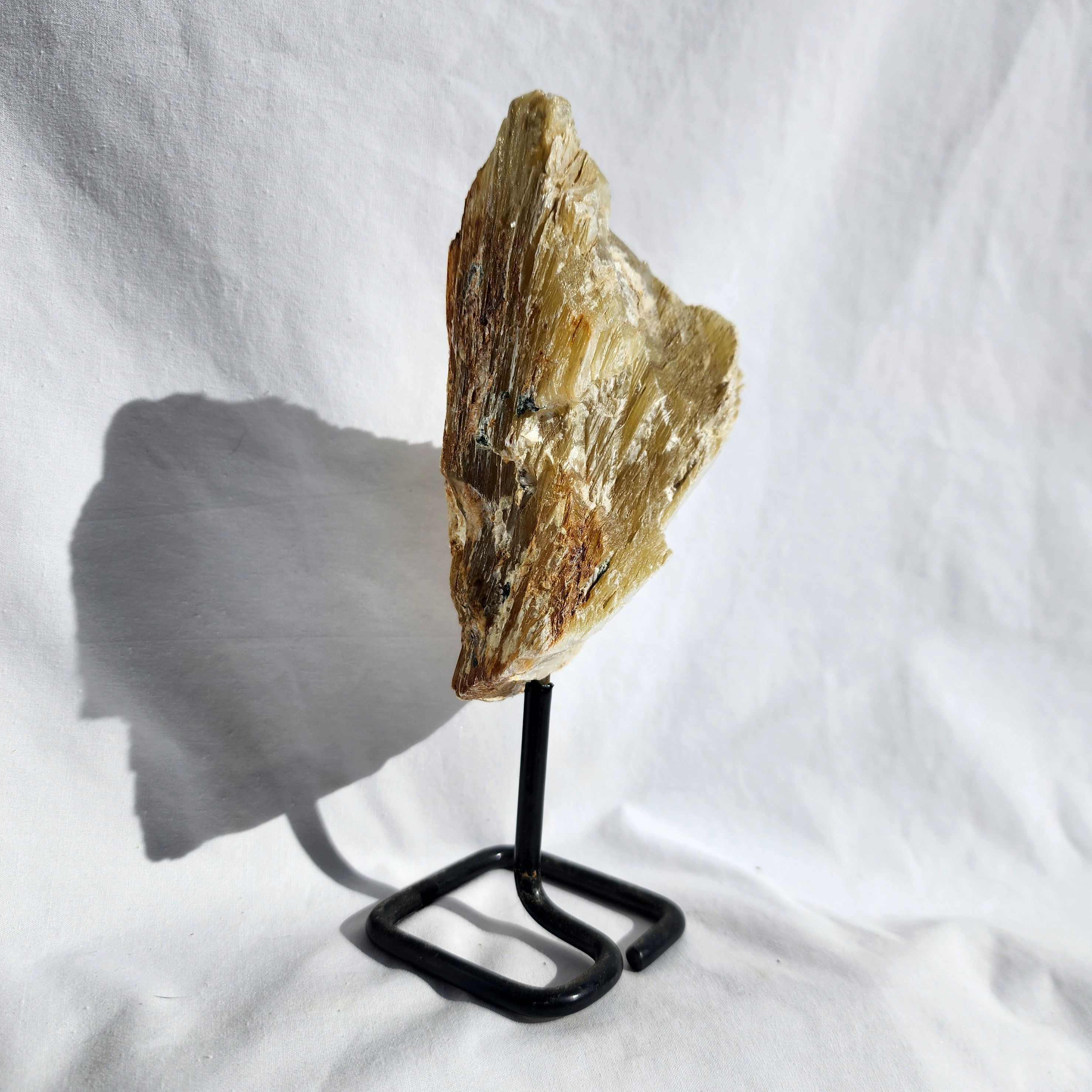 Golden Mica aka Muscovite on Stand
