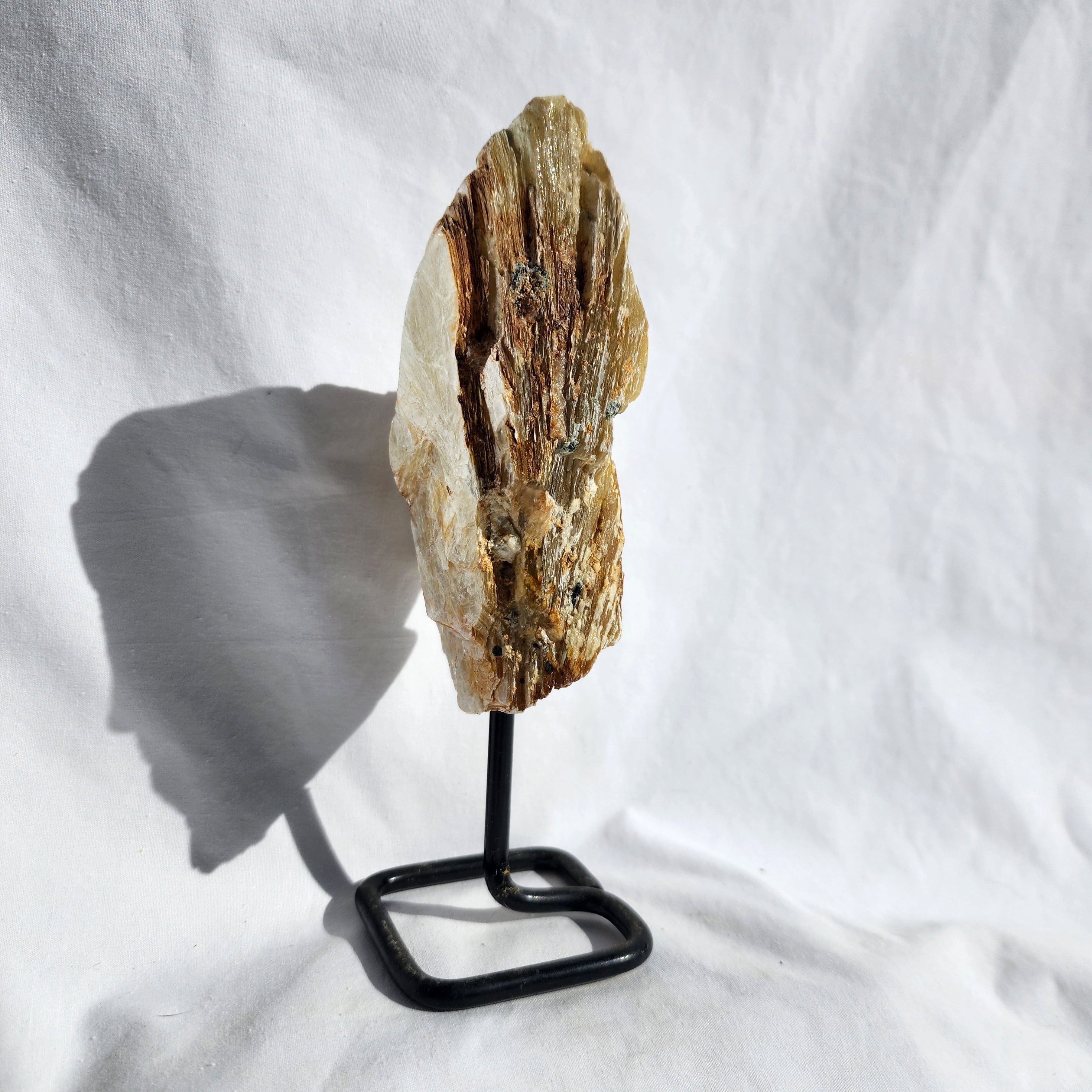 Golden Mica aka Muscovite on Stand
