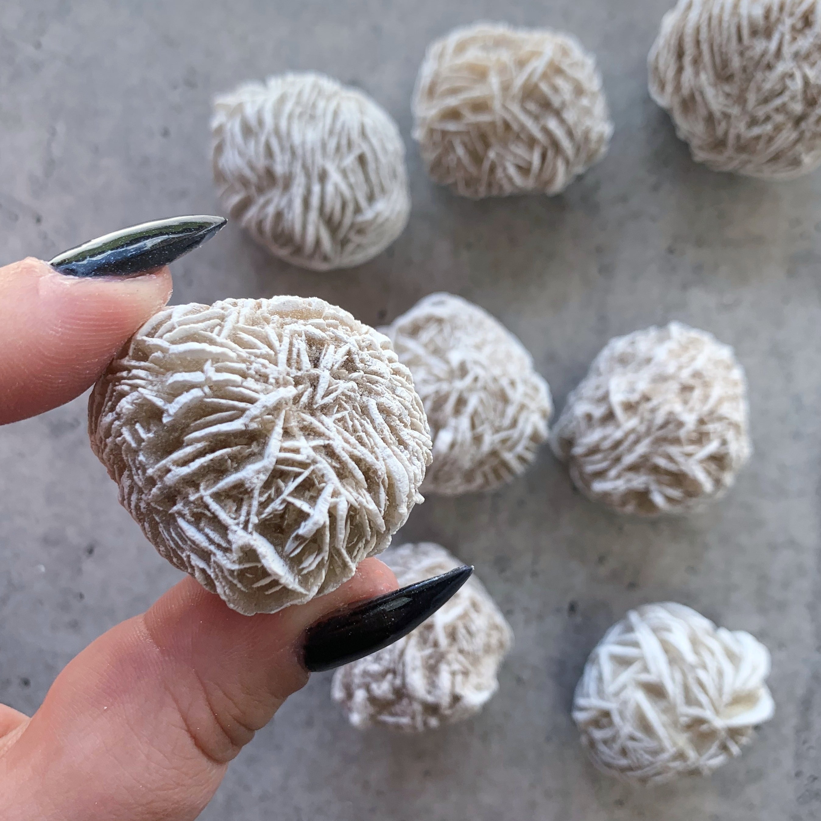 Desert Rose Cluster | Medium