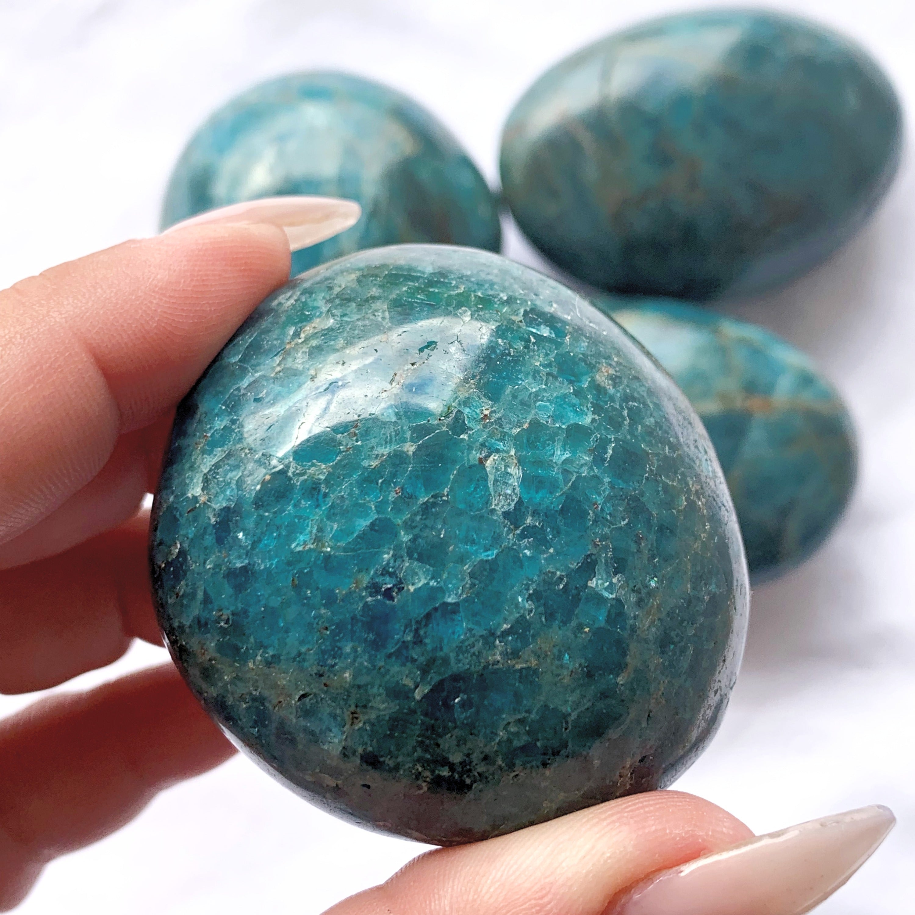 Apatite Palmstone | X-Large