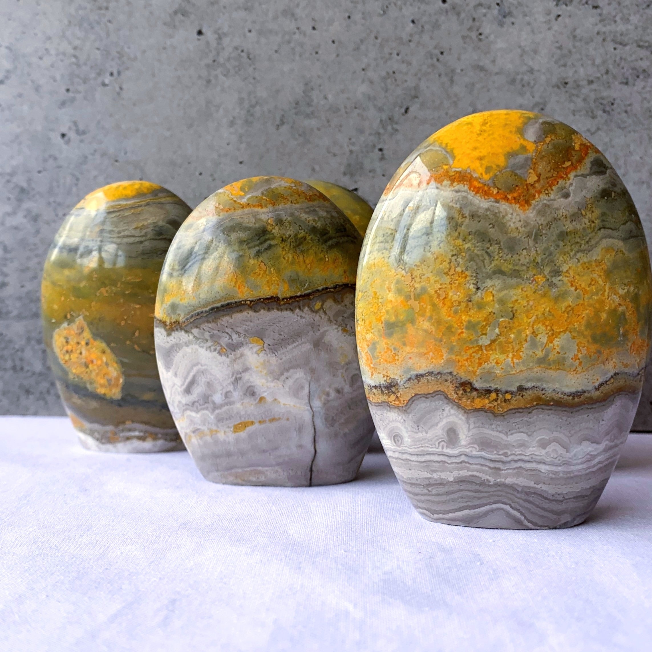 Bumblebee Jasper Freeform