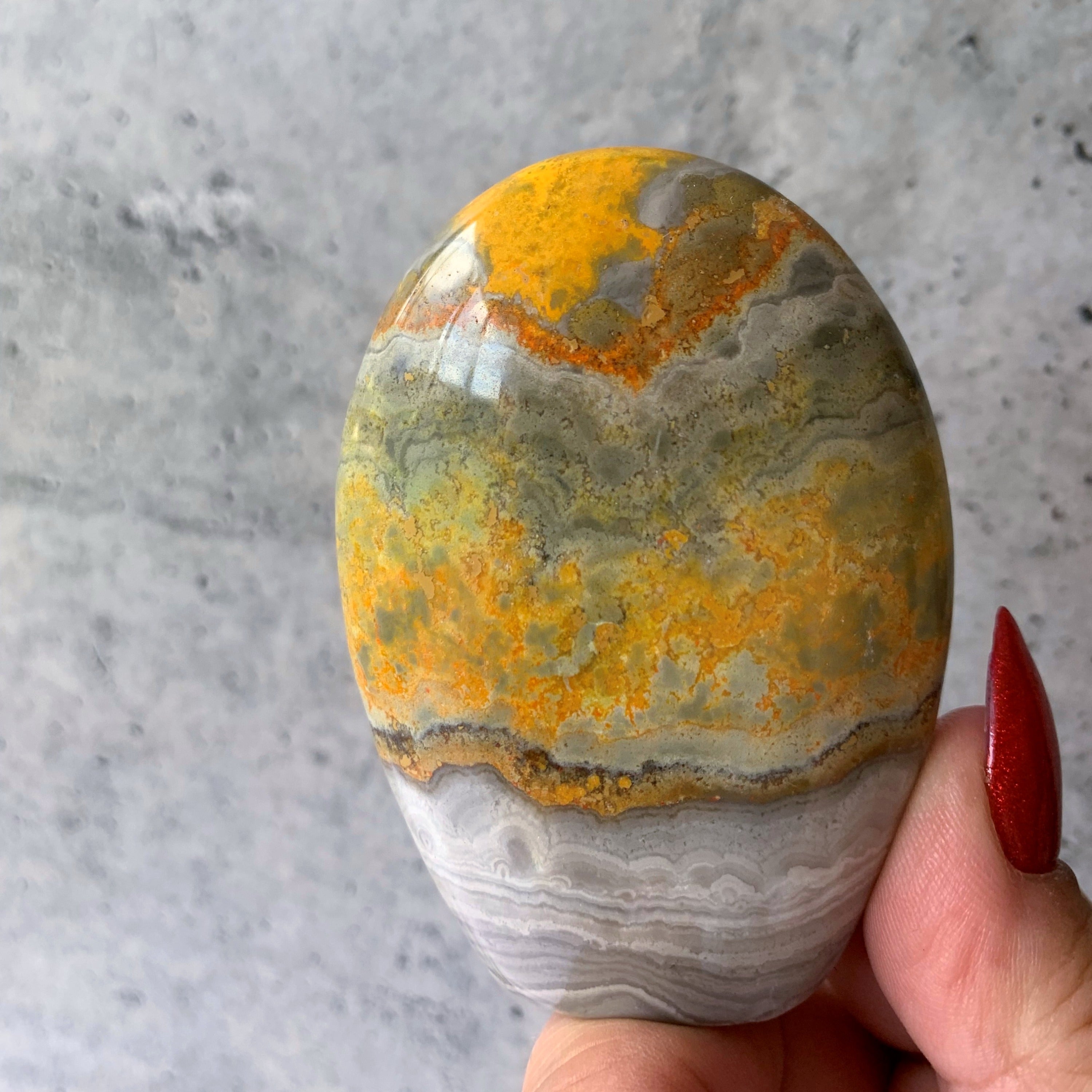 Bumblebee Jasper Freeform