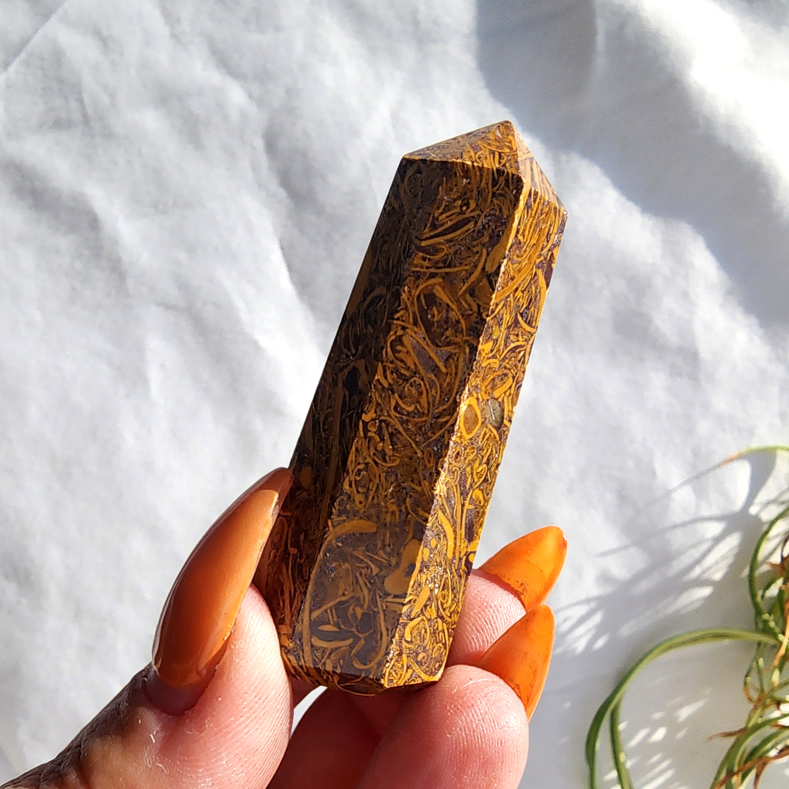 Calligraphy Jasper