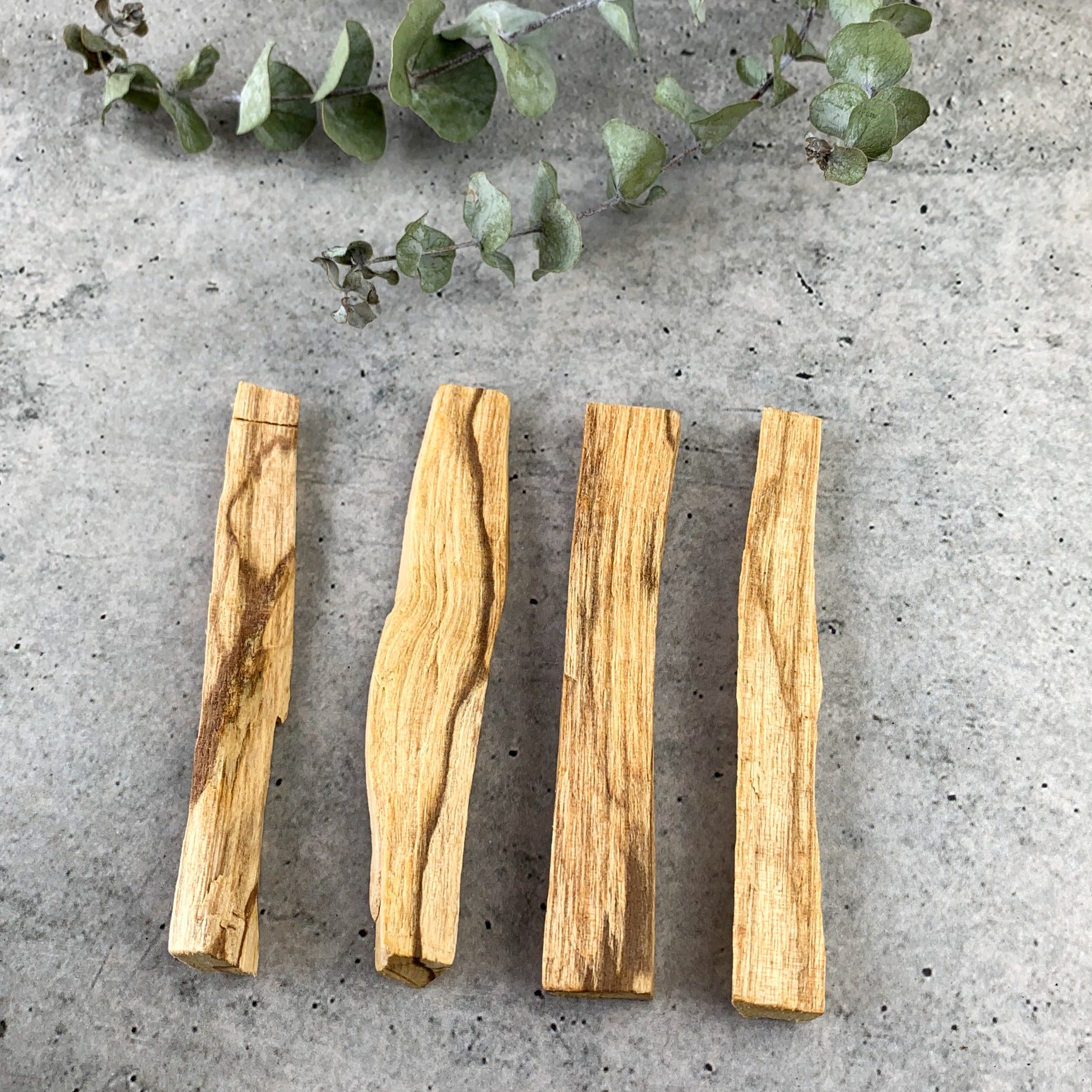 Palo Santo (Bursera graveolens)