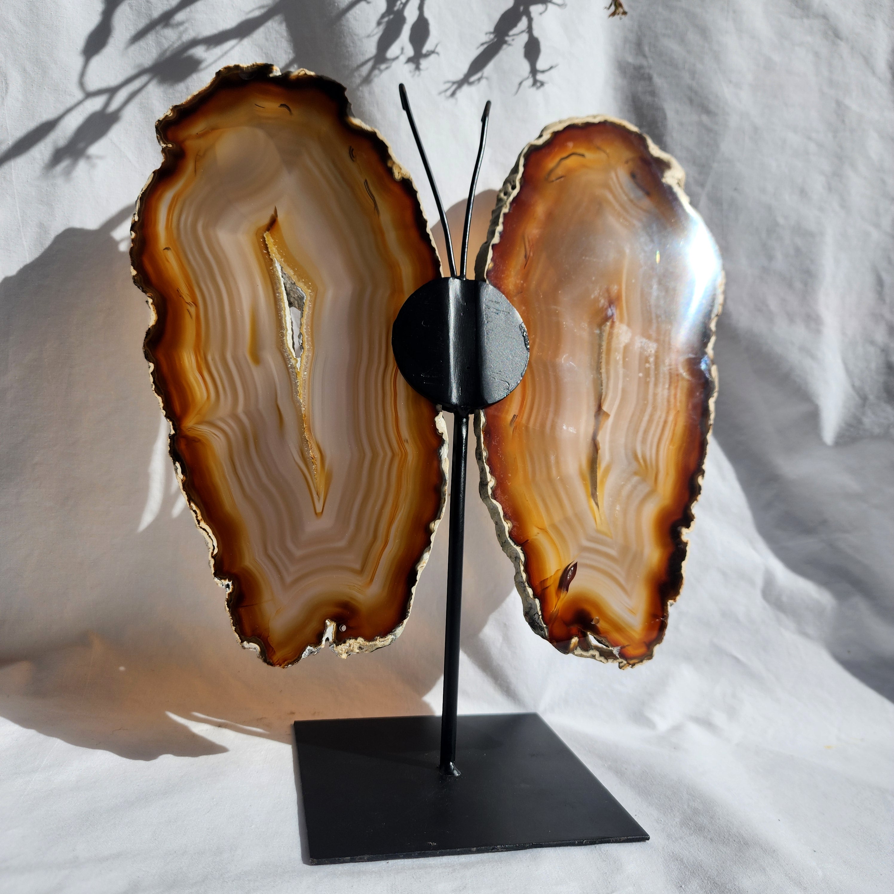 Natural Agate Butterfly Wings