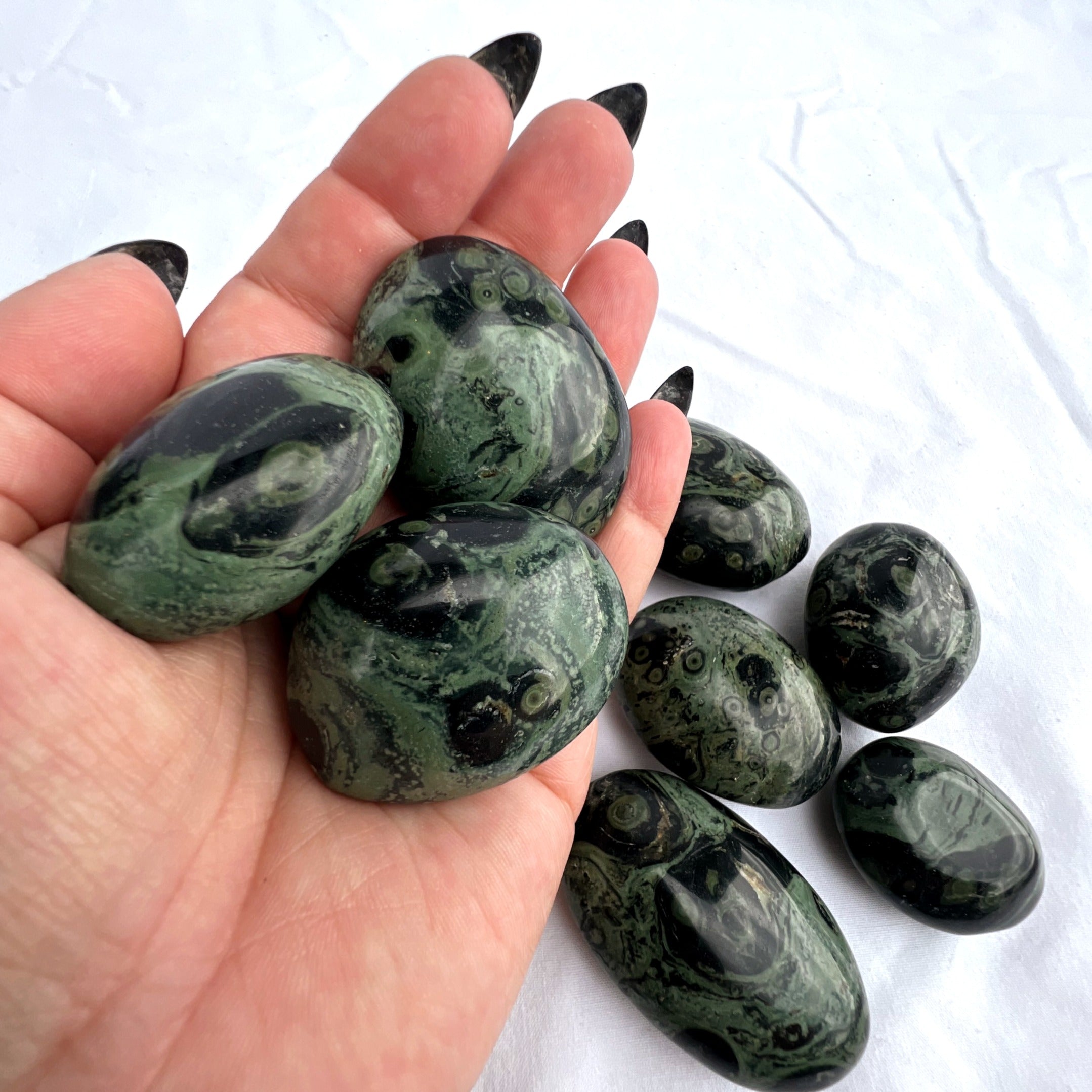 Kambaba Jasper Palm Stone | Medium
