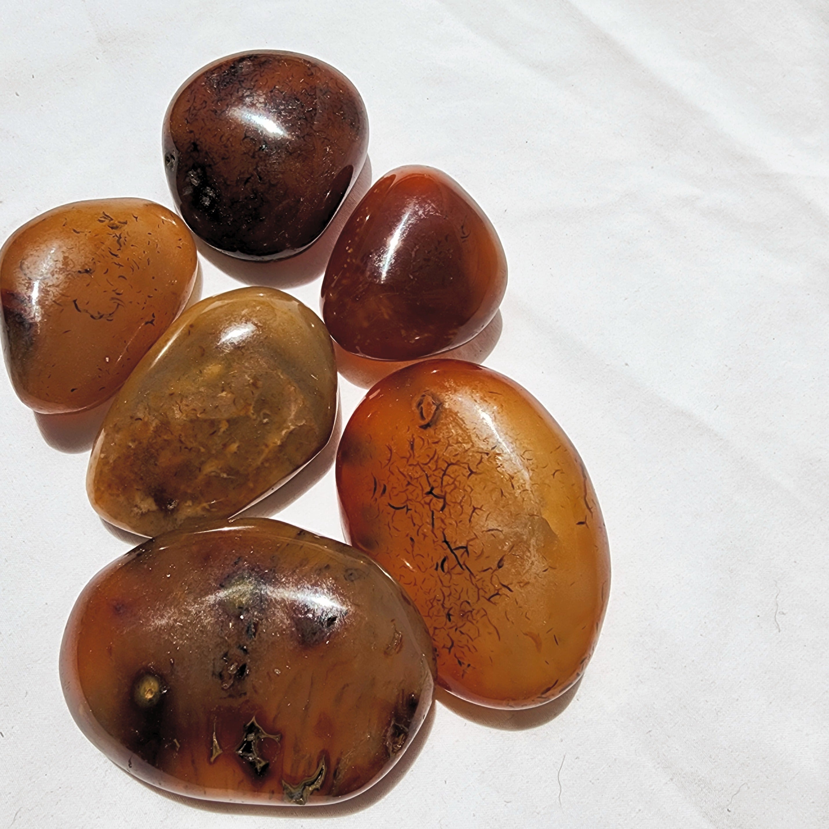 Carnelian Palm Stone | Medium